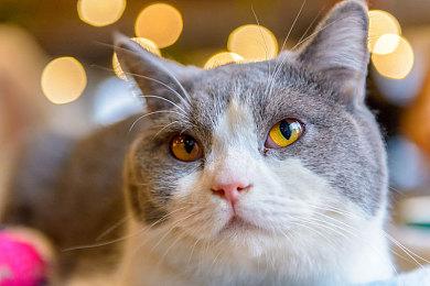 超级人类免激活码的游玩方法 卡顿＆延迟轻松解决